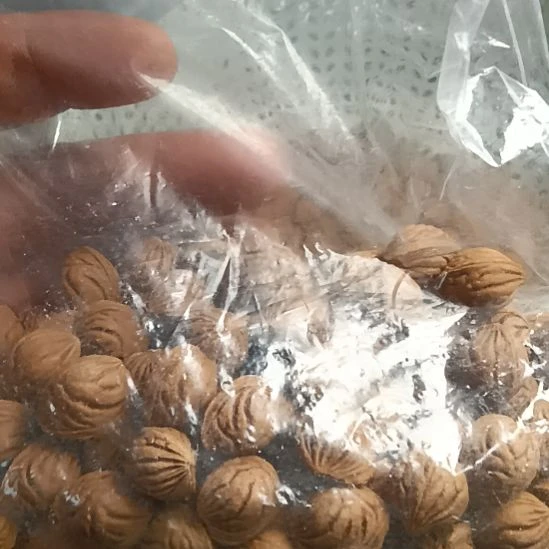 l***胜手串桃核龙纹桃核12+左右