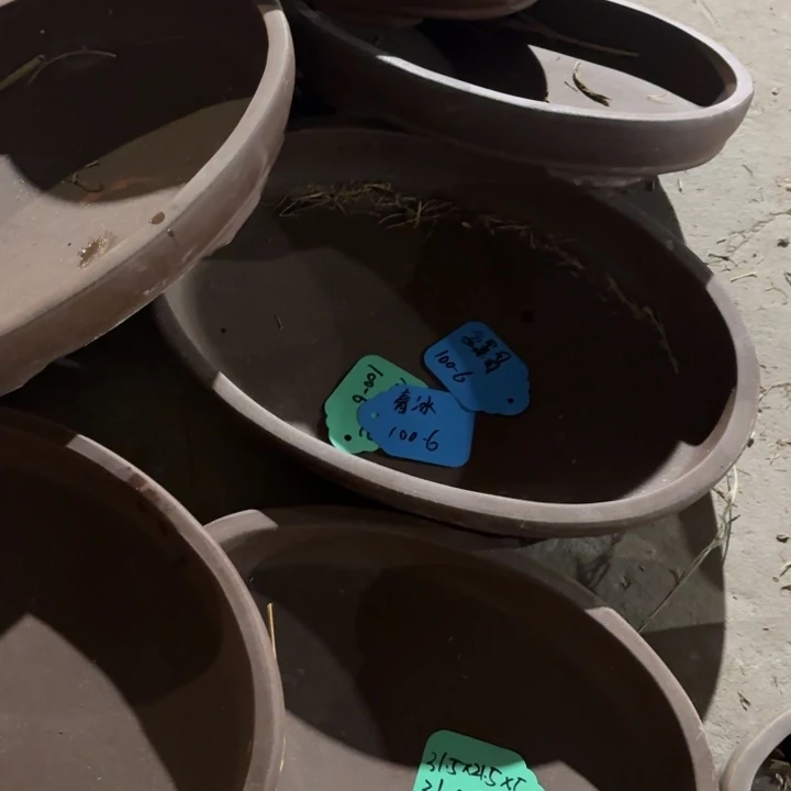 紫砂花盆100-6。