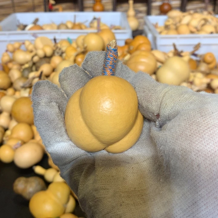 梨等经济林食物及营养元素丰富等