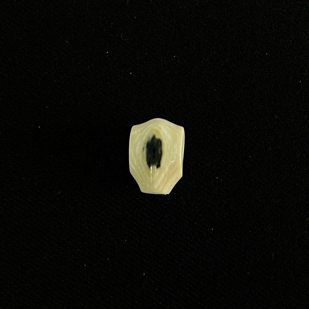 DS127 蓝眼三通 只做天然猛犸牙