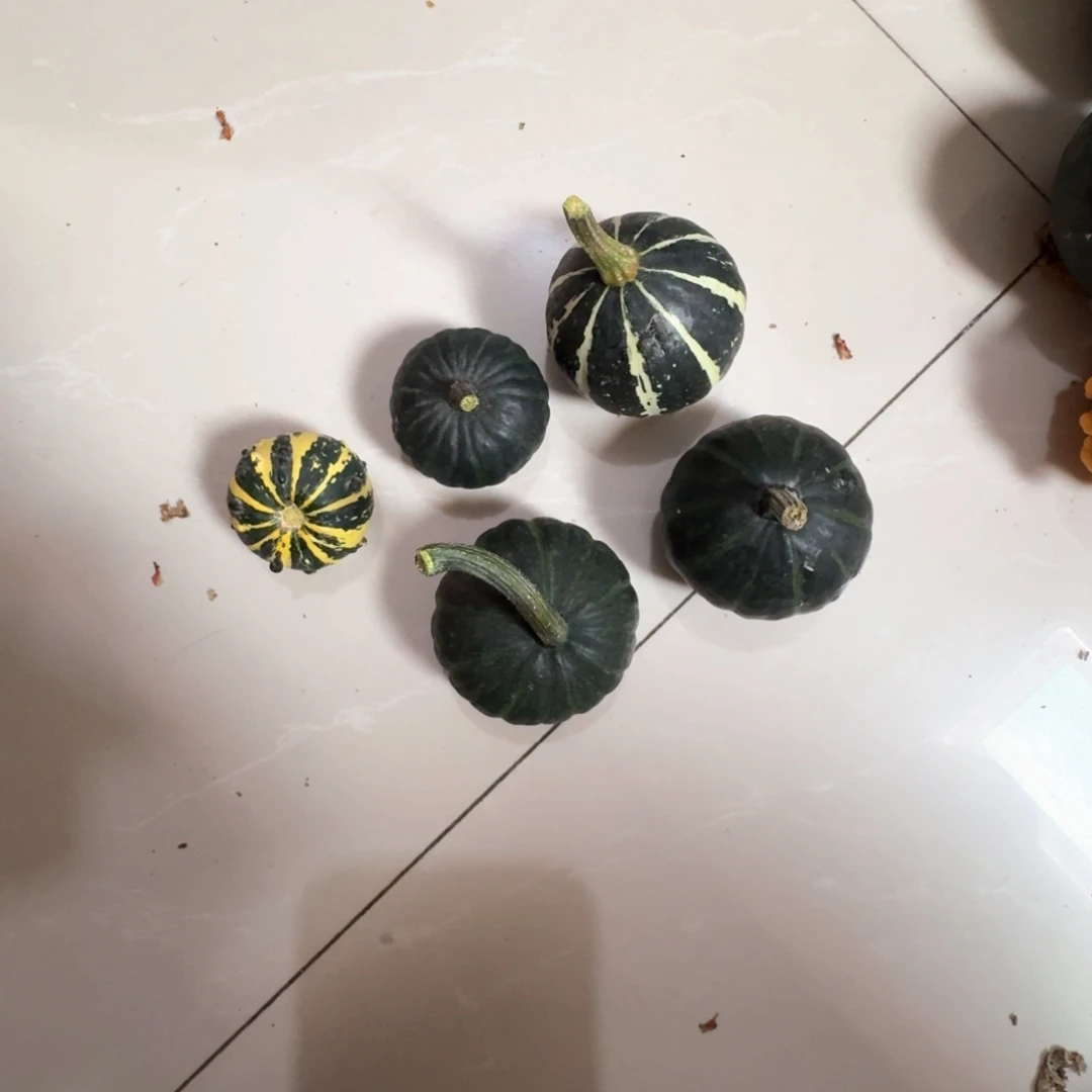 小*帅青皮葫芦嗯不退不换