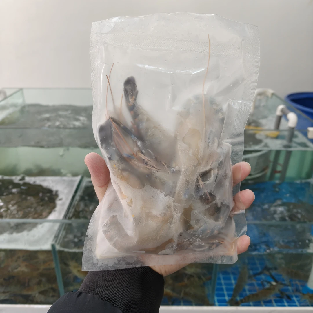 福利品 鲜冻基围虾1斤/份（20只左右/斤）