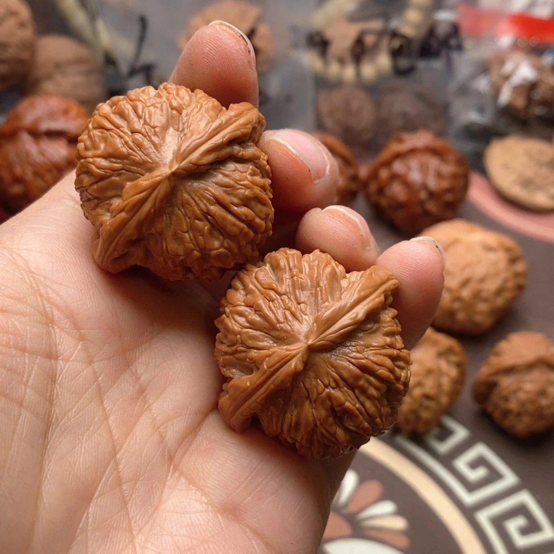 文玩核桃把件少*.白狮子36尺寸