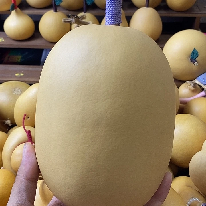 天然葫芦自然生长冬瓜