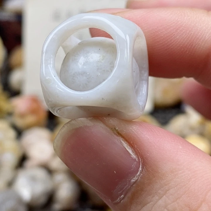 颈饰未镶嵌硅化珊瑚（珊瑚玉）