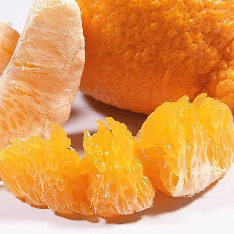 S 正宗高山丑橘5斤装 新鲜多汁酸甜无籽应季水果