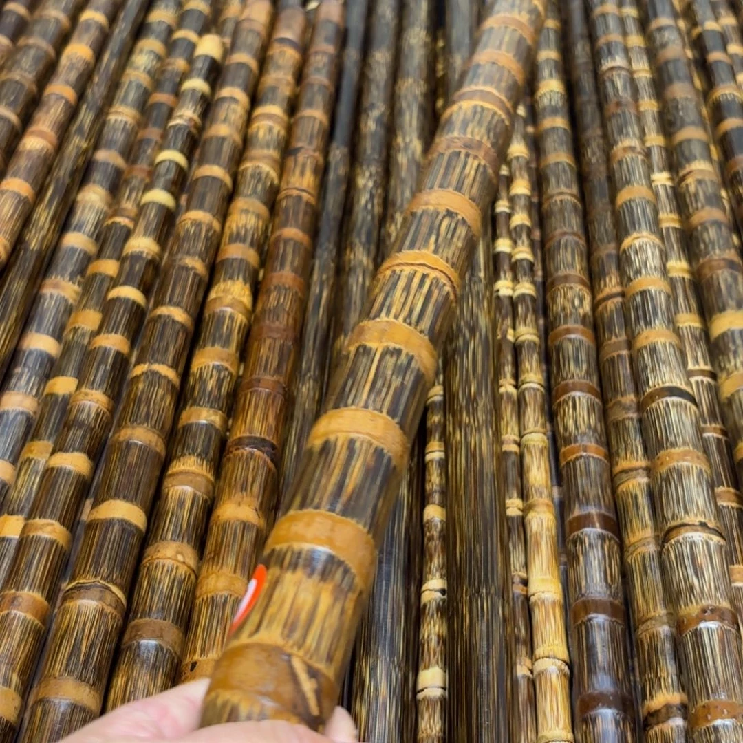 不***真1.5米2.9粗高品实心竹