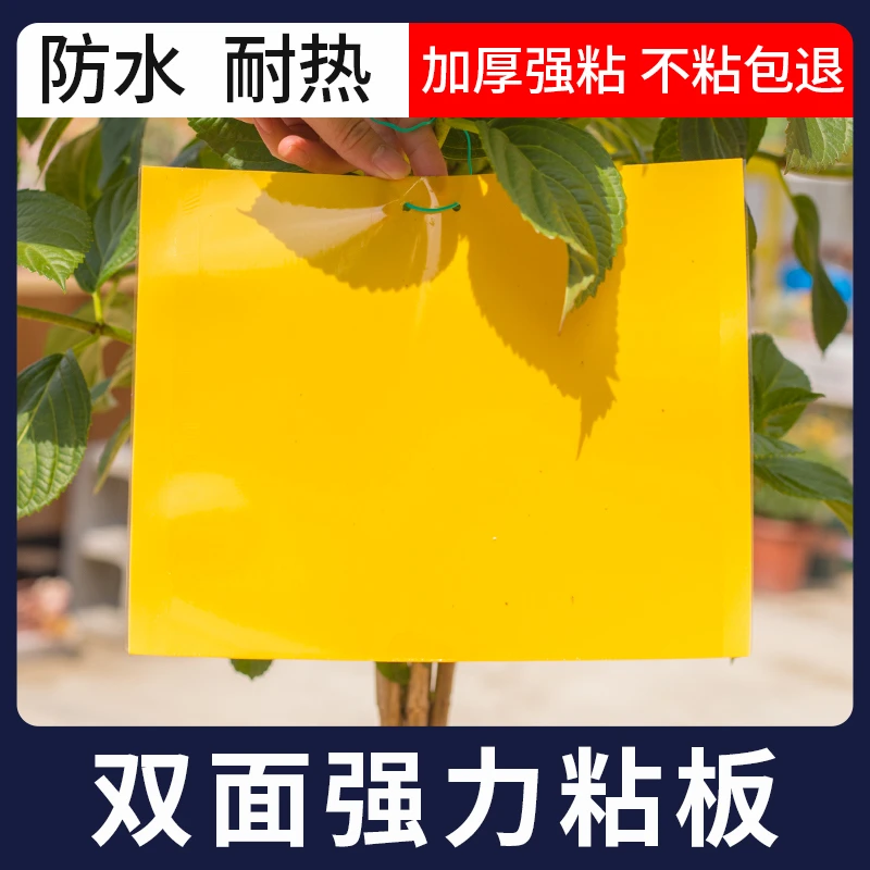 黄板双面粘虫板蓝板纸贴灭小飞虫粘板果园蓟马大棚园艺用