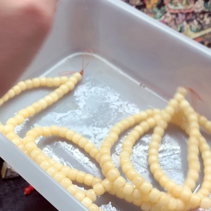 手串/手链驼骨手链项链