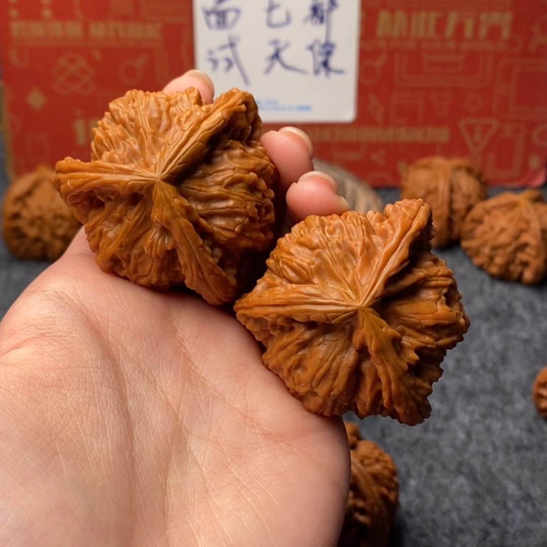 【闪购商品】河****司白狮子11111