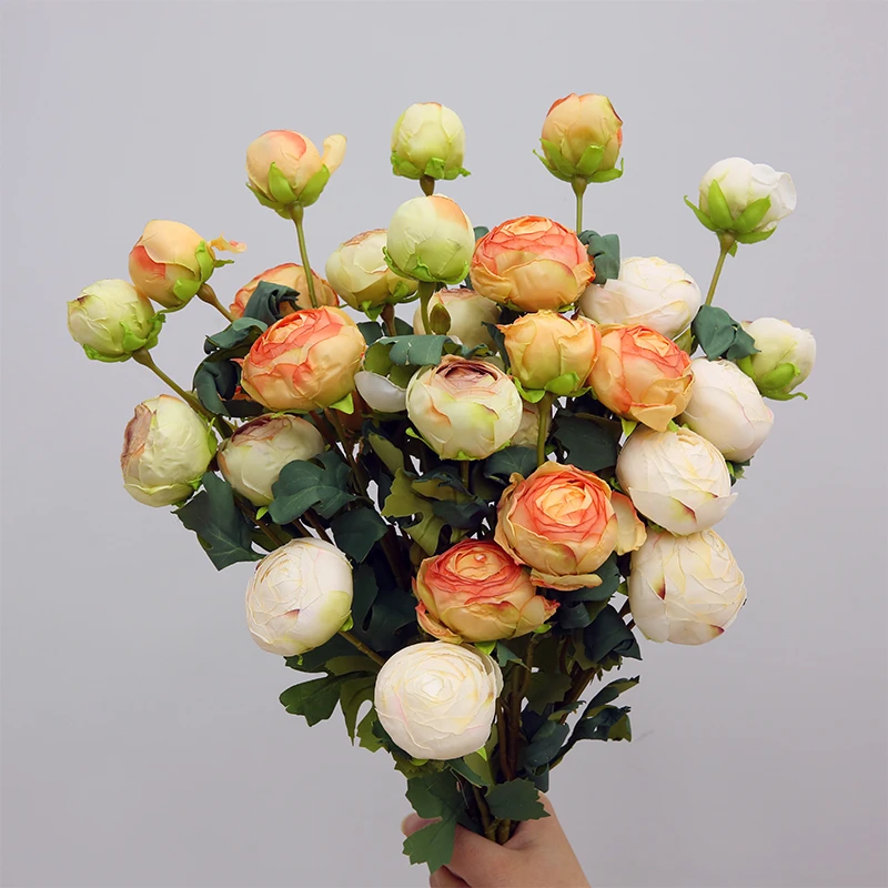 烤边茶花直播间福利