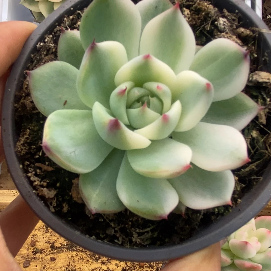 _****_322锦锦锦锦锦锦锦