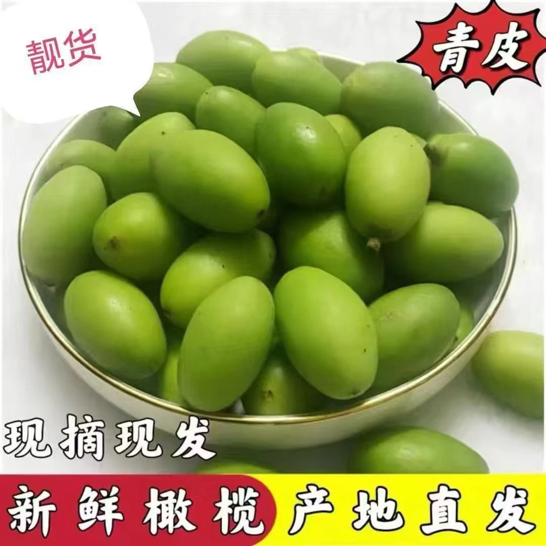 潮汕特产新鲜现摘青甜橄榄青橄榄可生吃煲汤清香回甘橄榄果