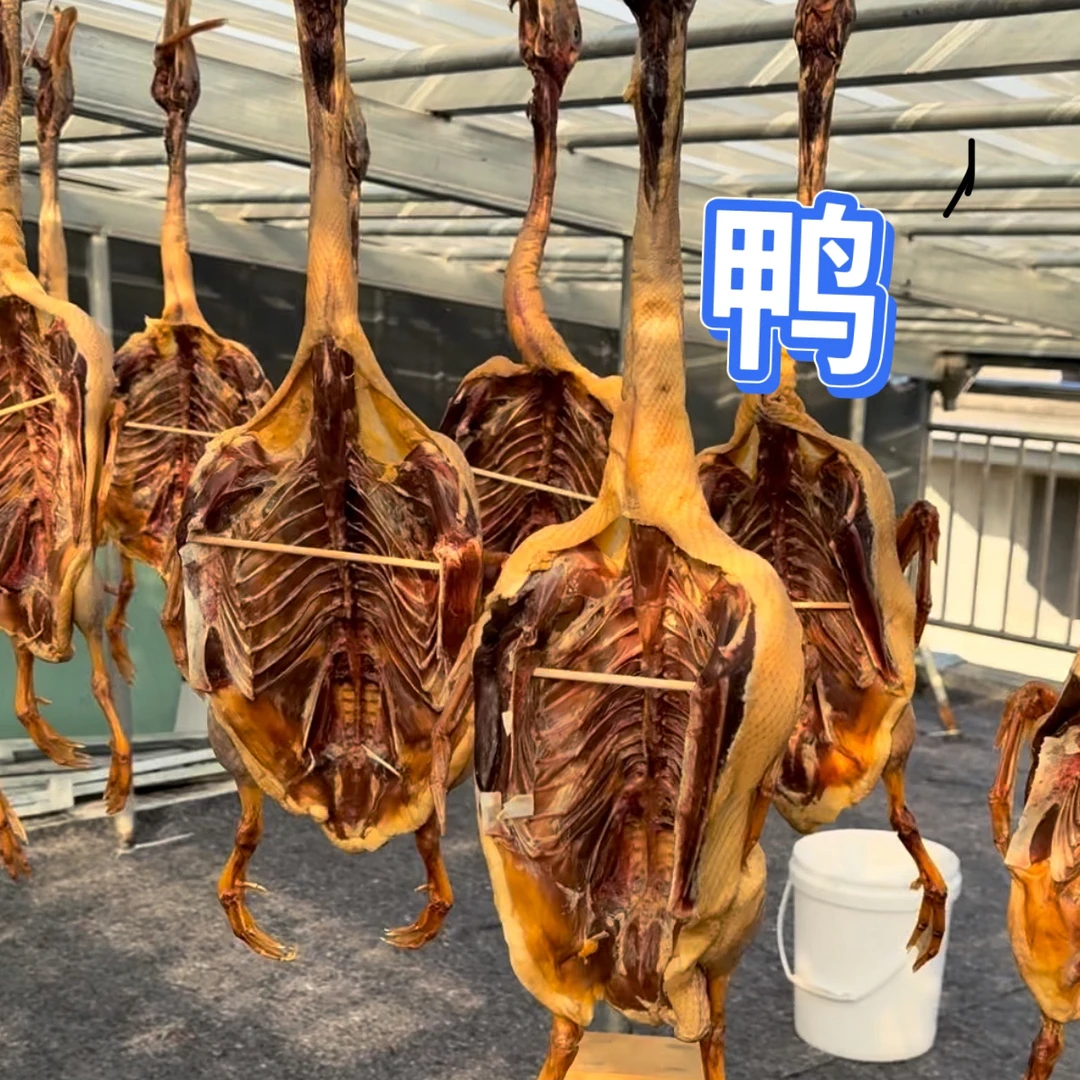 鸭 腊月 安庆潜山卖鱼妹家