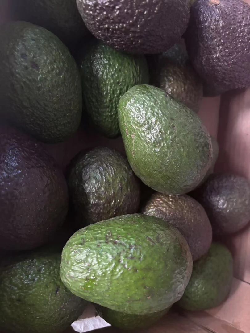 正宗秘鲁进口哈斯牛油果