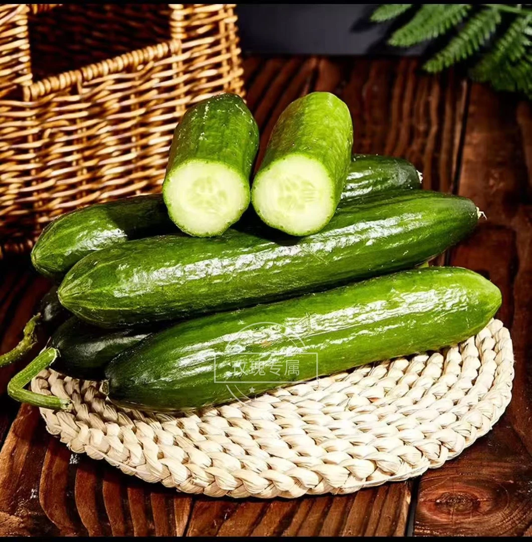精品山东新鲜水果小黄瓜现摘现发即食清脆爽口