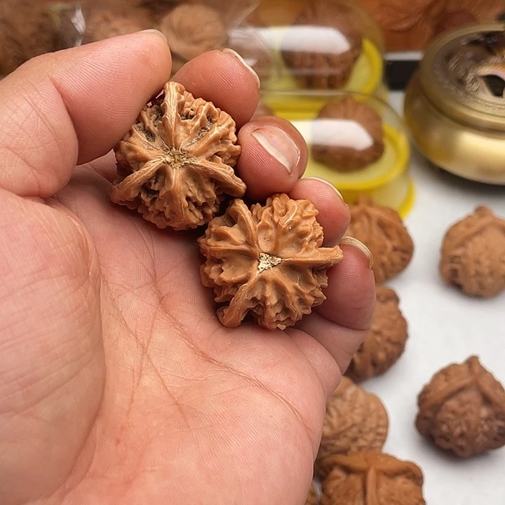 早***树吊坠文玩核桃盘山三棱