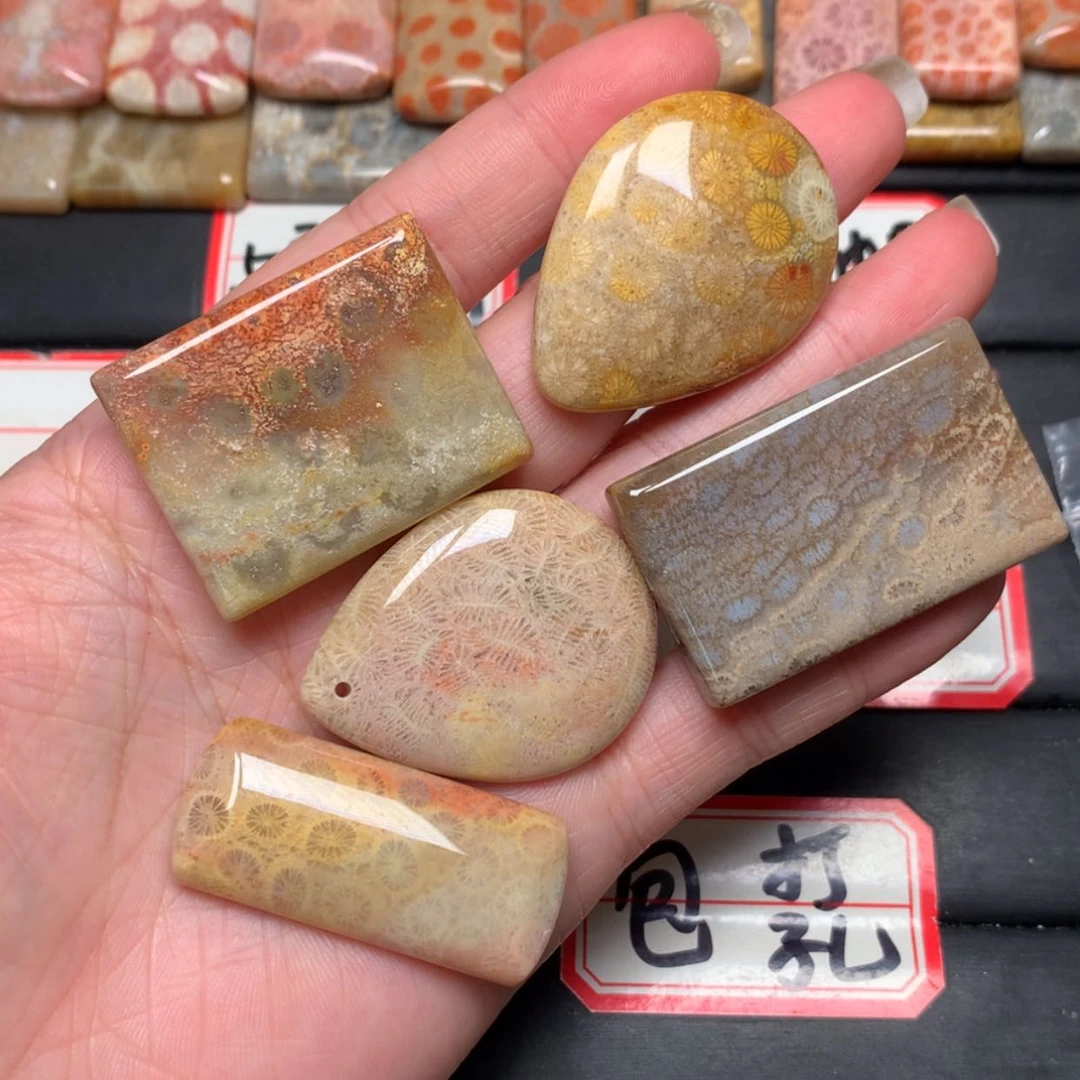 【闪购商品】未镶嵌颈饰硅化玉如**姐