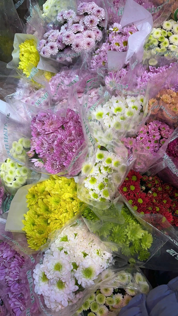 小雏菊插花瓶年宵花