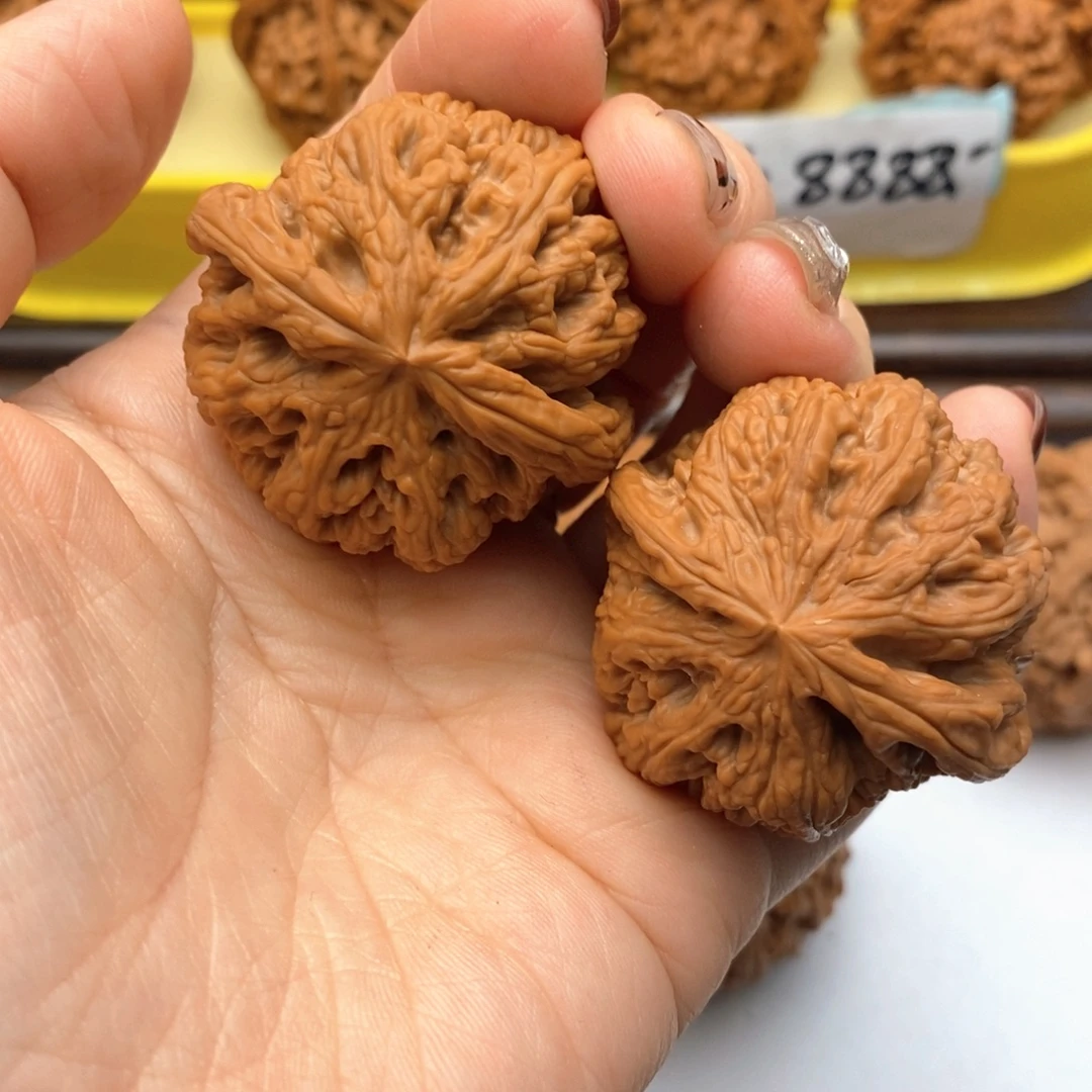 把件文玩核桃41尺粗筋