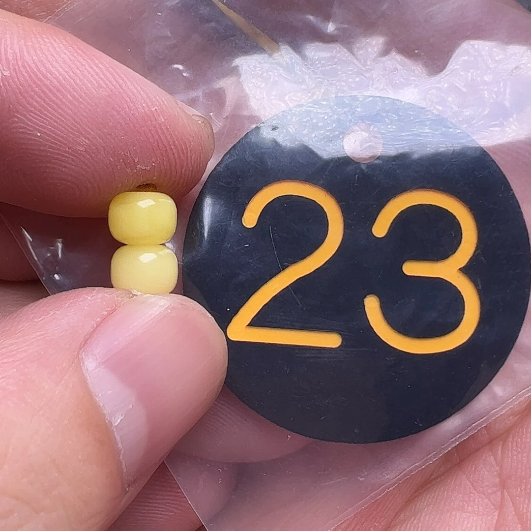 蜜蜡未镶嵌珠宝奇石6.3mm