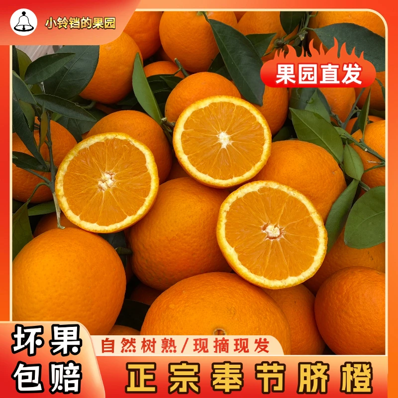 正宗奉节脐橙重庆甜橙子鲜5/10斤孕妇应季水果非赣南产地直发
