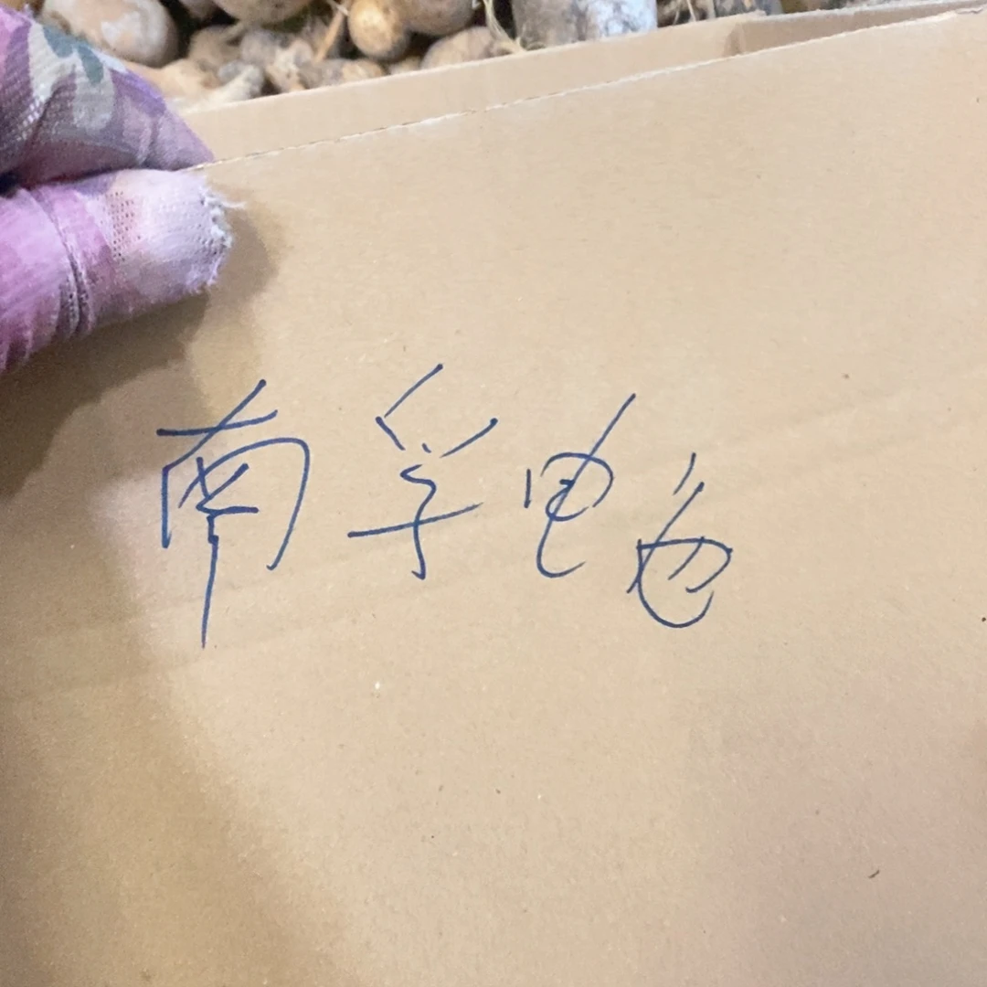 南**池文玩葫芦画皮葫芦