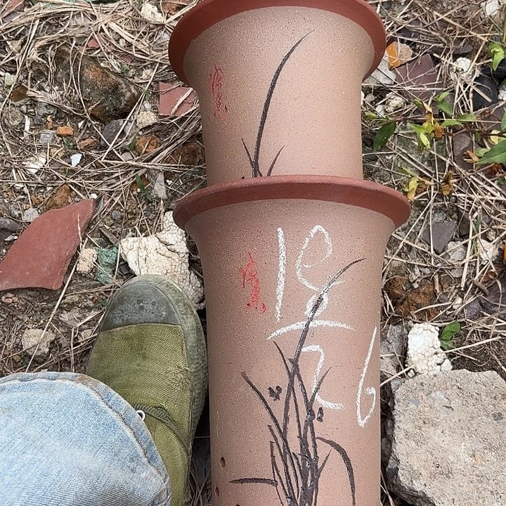 花盆紫砂紫砂的花