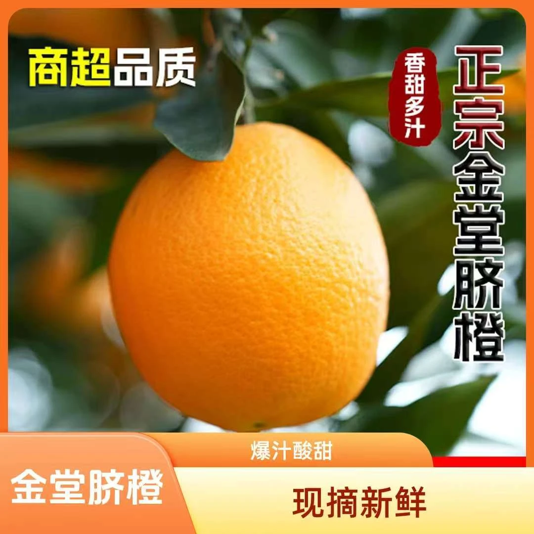 四川金堂脐橙当季现摘现发新鲜水果甜橙手剥橙脐橙