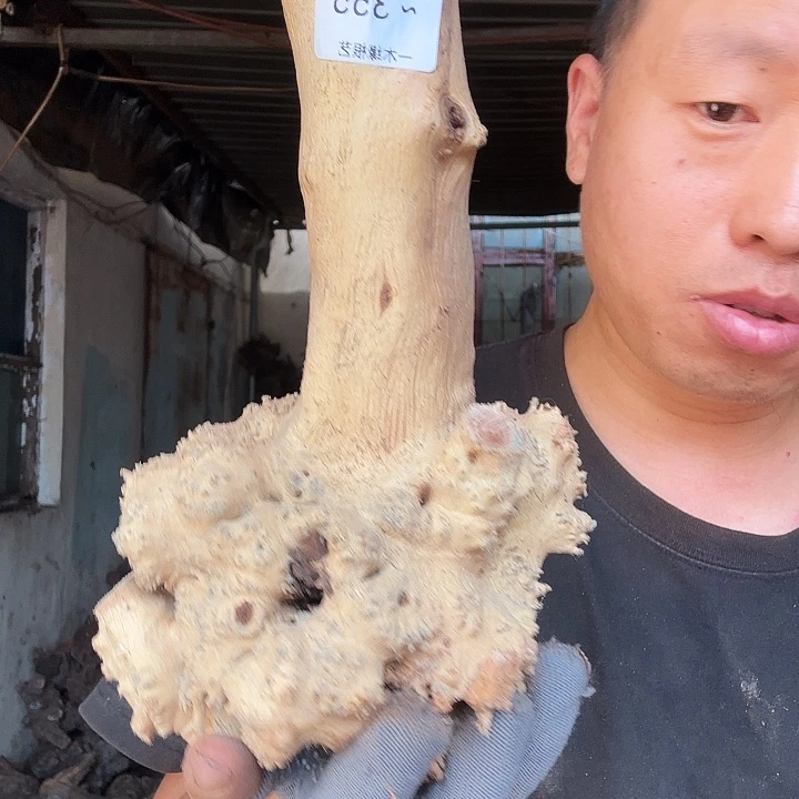 用***6无花朵0000000000355