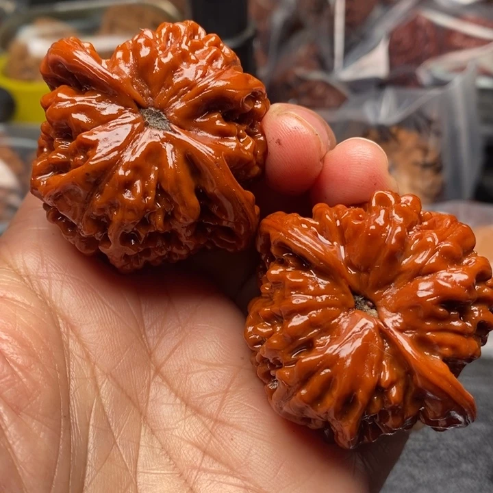 核桃手串/手链揽*官帽