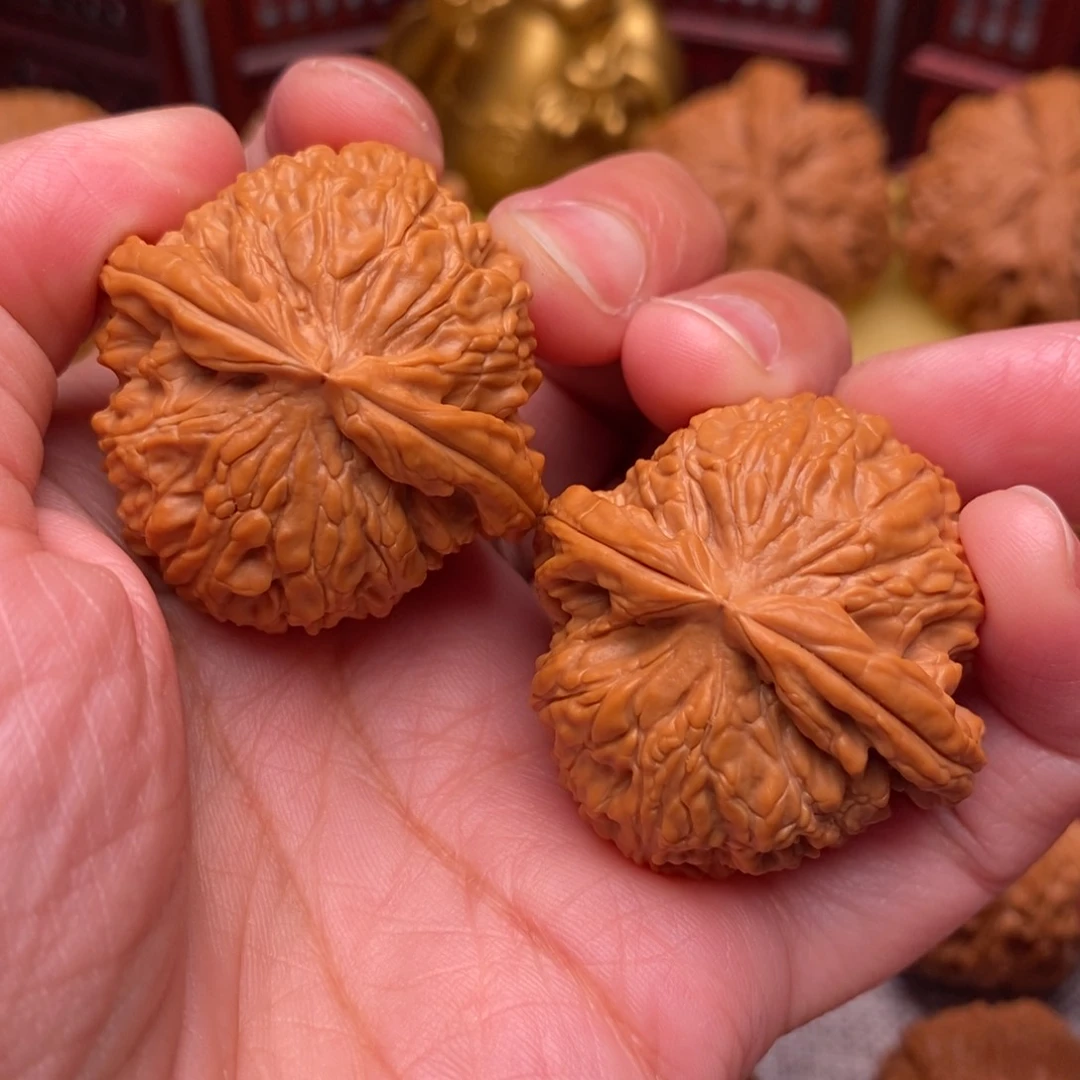 文玩核桃把件全品毕业白狮子37.5尺