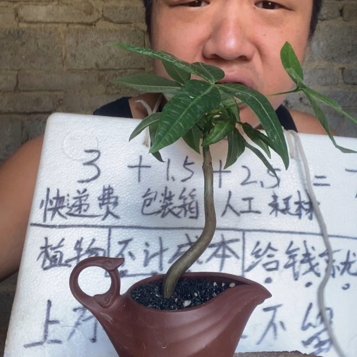 退款拉黑一物一拍162