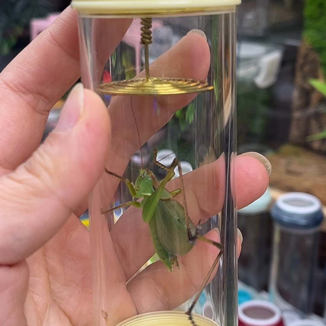 扎嘴罐➕扎嘴哈哈哈哈