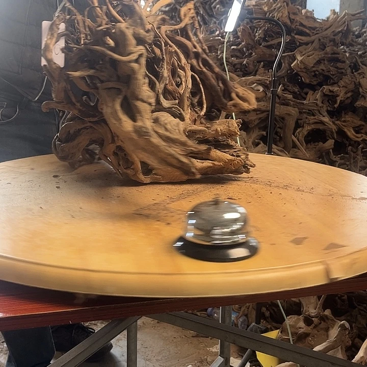 木554036 鱼缸造景摆件水库杜鹃根30