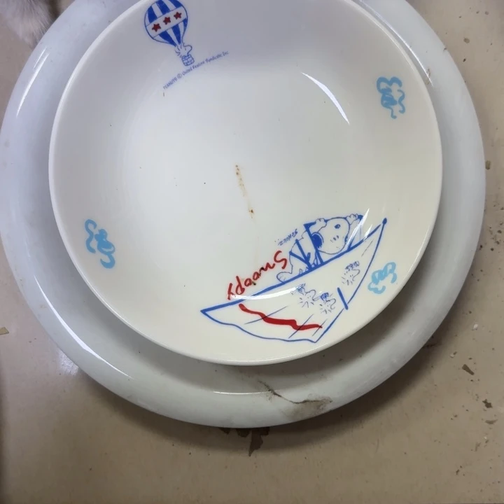 瓷片洋*梗开播啦…开播啦！