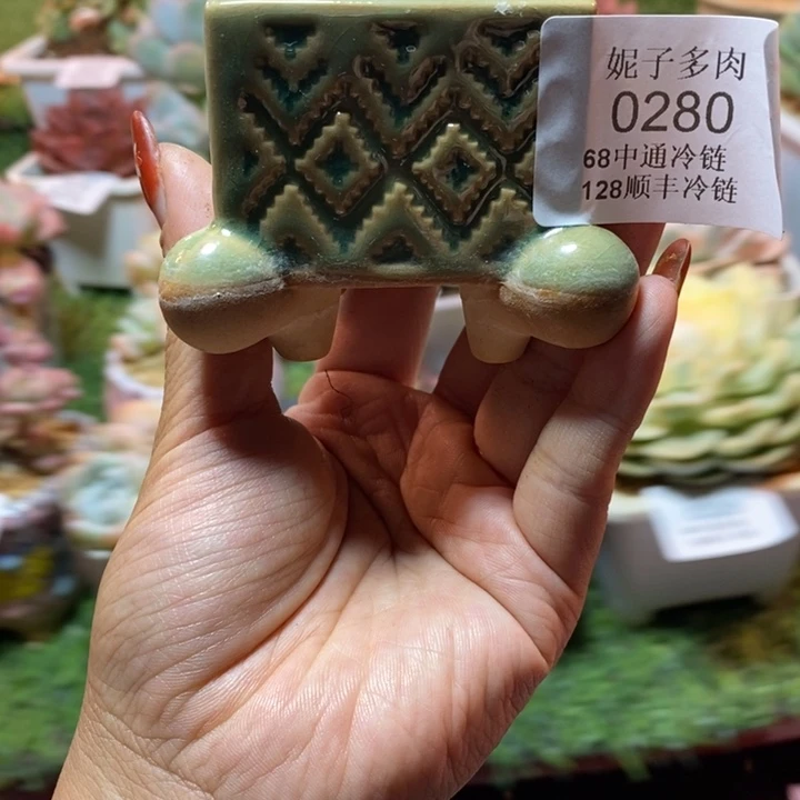 盆一个9.99asasas