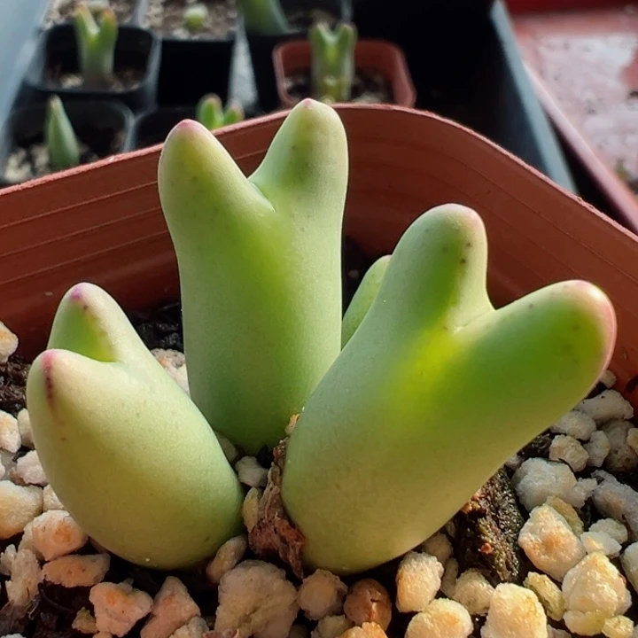 ࿐****285号11111111111111