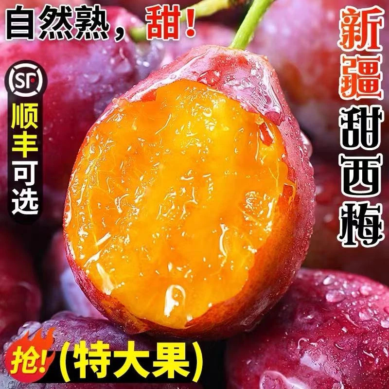【顺丰包邮】法兰西西梅当季水果鲜甜多汁孕妇水果新疆品种
