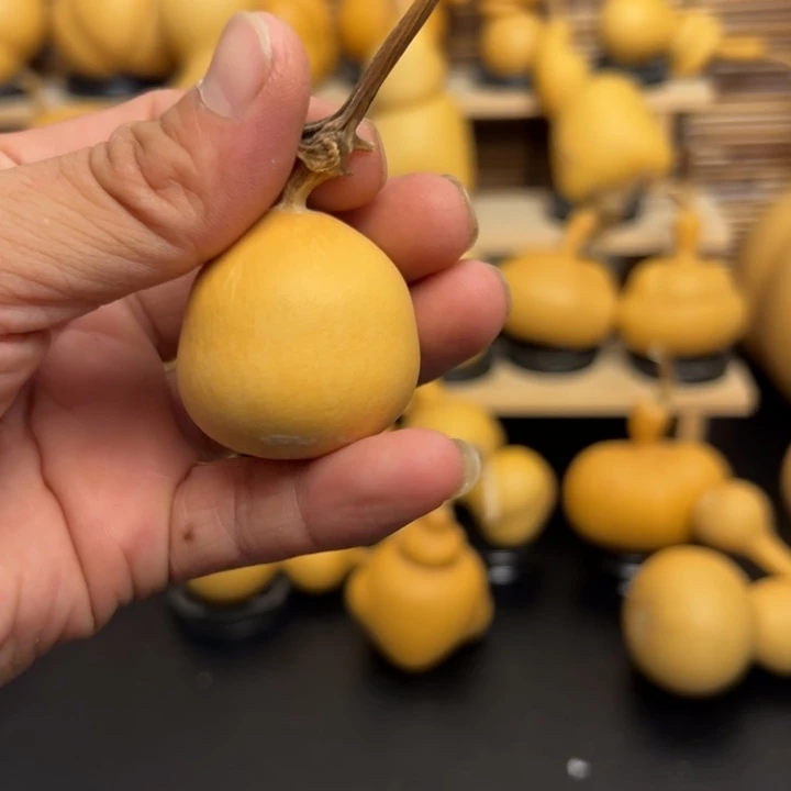 揽*1266655556939996369