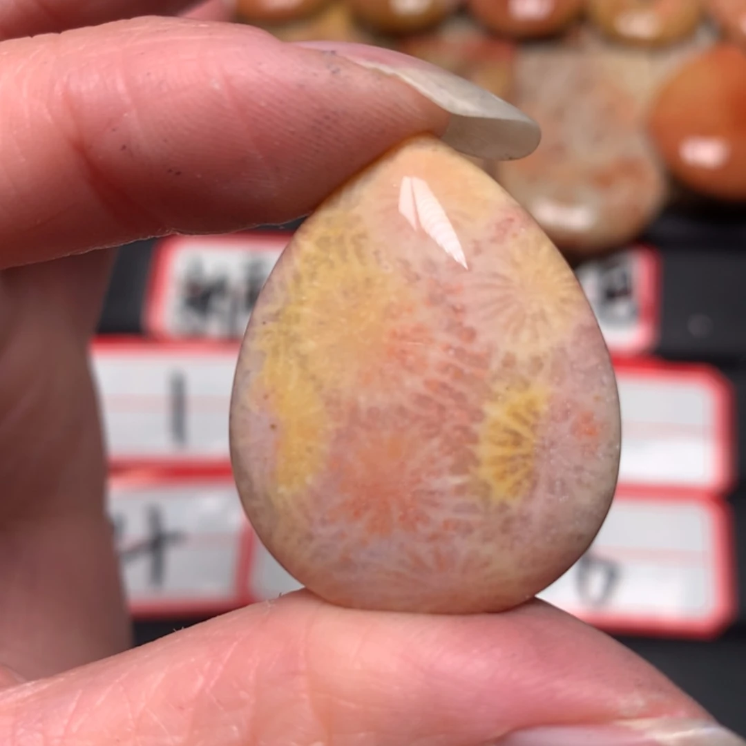 【闪购商品】硅化玉颈饰未镶嵌V*草