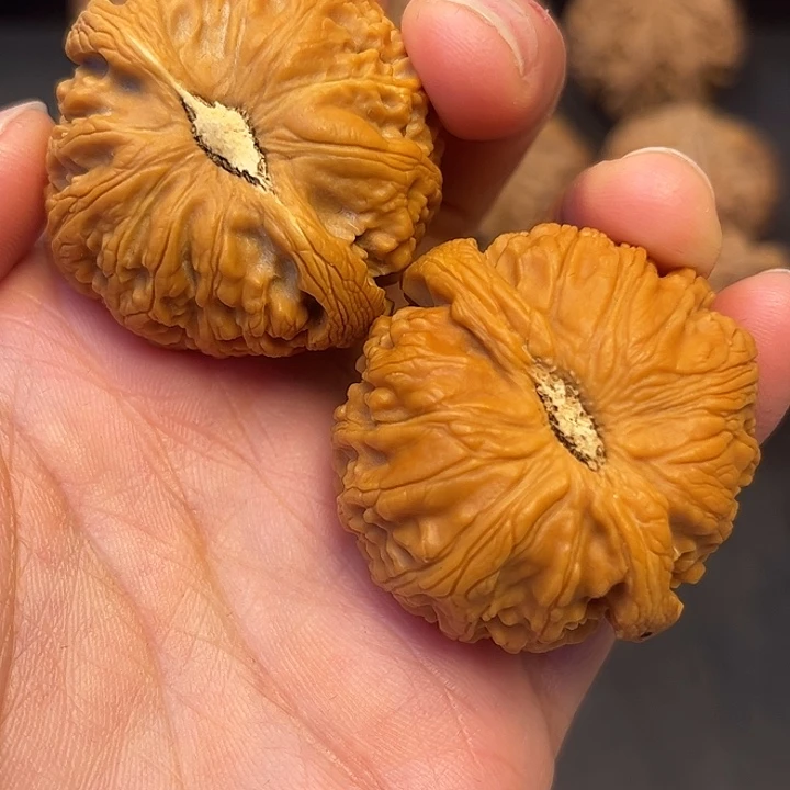 钟***生核桃秦岭突突突突突突突