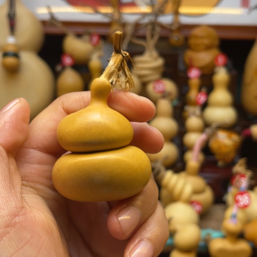 春**开葫芦笙和一只大鸡仔的日常对话