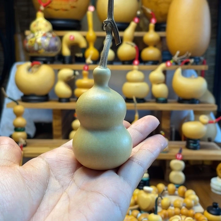 洛***灵天然葫芦自然生长