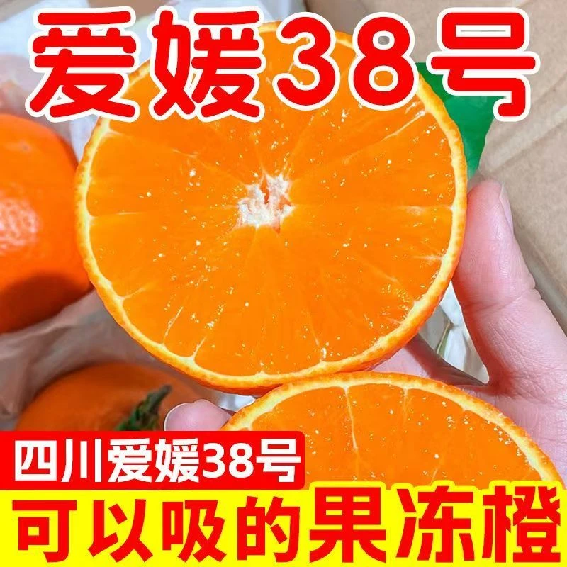 四川眉山爱媛果冻橙新鲜橙子皮薄多汁现摘现发带枝叶发货