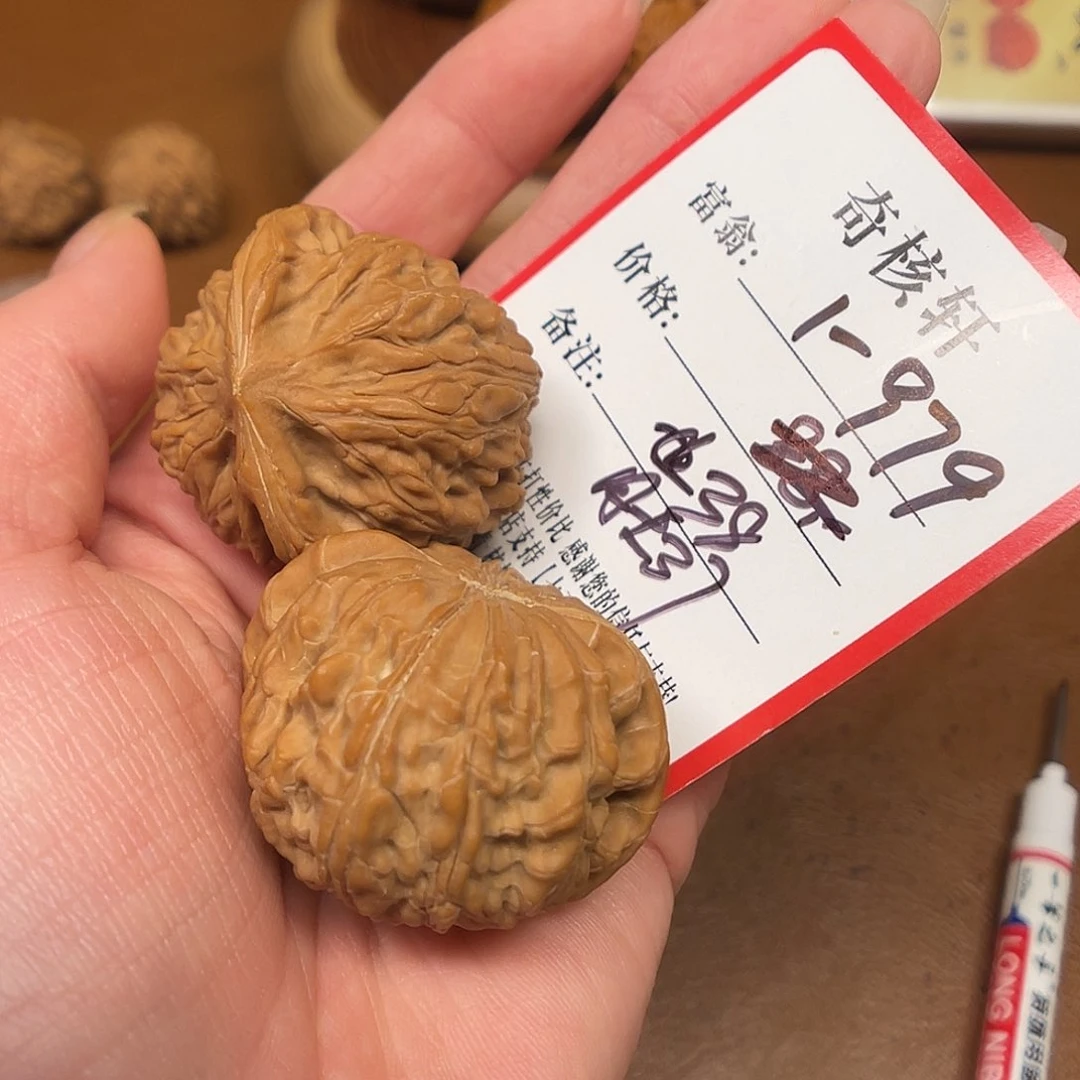 文玩核桃吊坠太行龙珠福利1-979