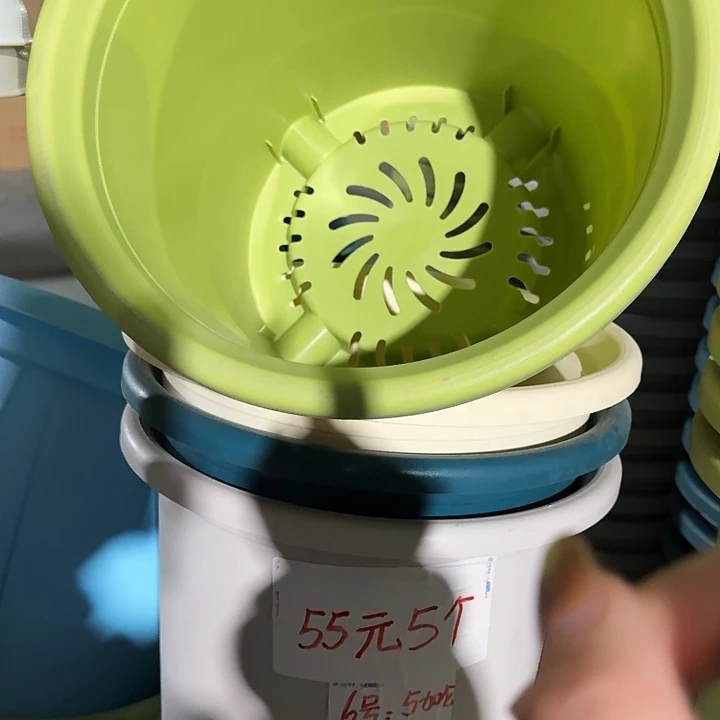 四季6号果绿无托7个特价微瑕