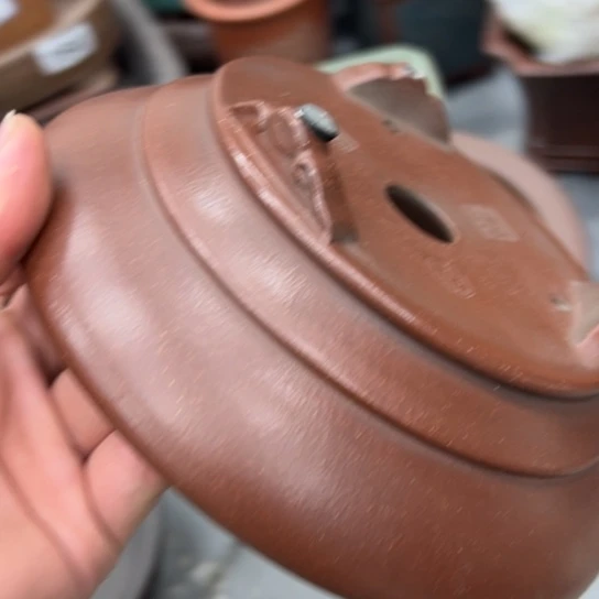 紫砂花盆漂亮漂亮