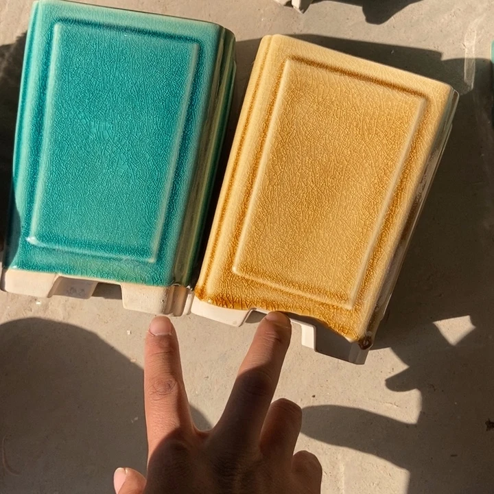 花盆花盆福利多多