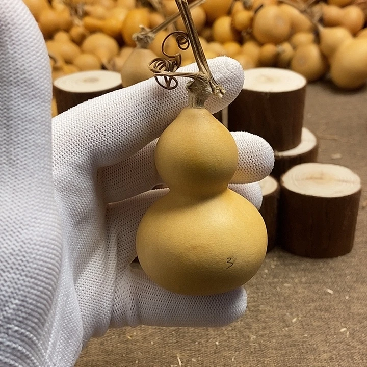 文玩葫芦 完美主义者 慎拍3